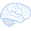 blue brain icon